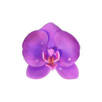 Butterfly Blossom ภาพประกอบ