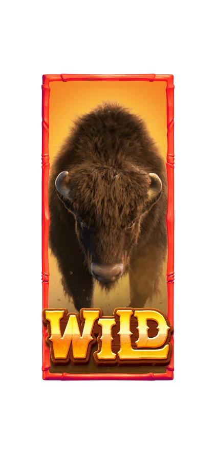 Buffalo Win ภาพประกอบ
