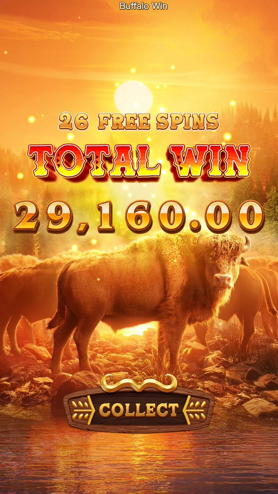 Buffalo Win ภาพประกอบ
