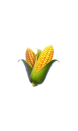 Farmstead Fortune ภาพประกอบ