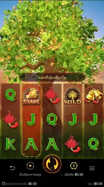 Tree Of Fortune ภาพประกอบ