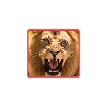 Safari Wilds ภาพประกอบ