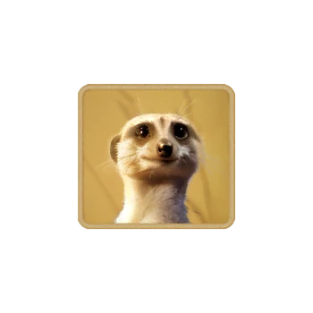 Safari Wilds ภาพประกอบ
