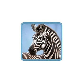 Safari Wilds ภาพประกอบ