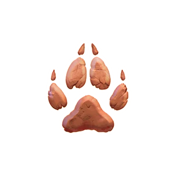 Werewolf's Hunt ภาพประกอบ