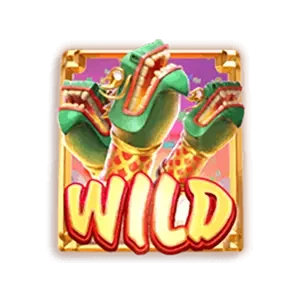 Wild Fireworks ภาพประกอบ