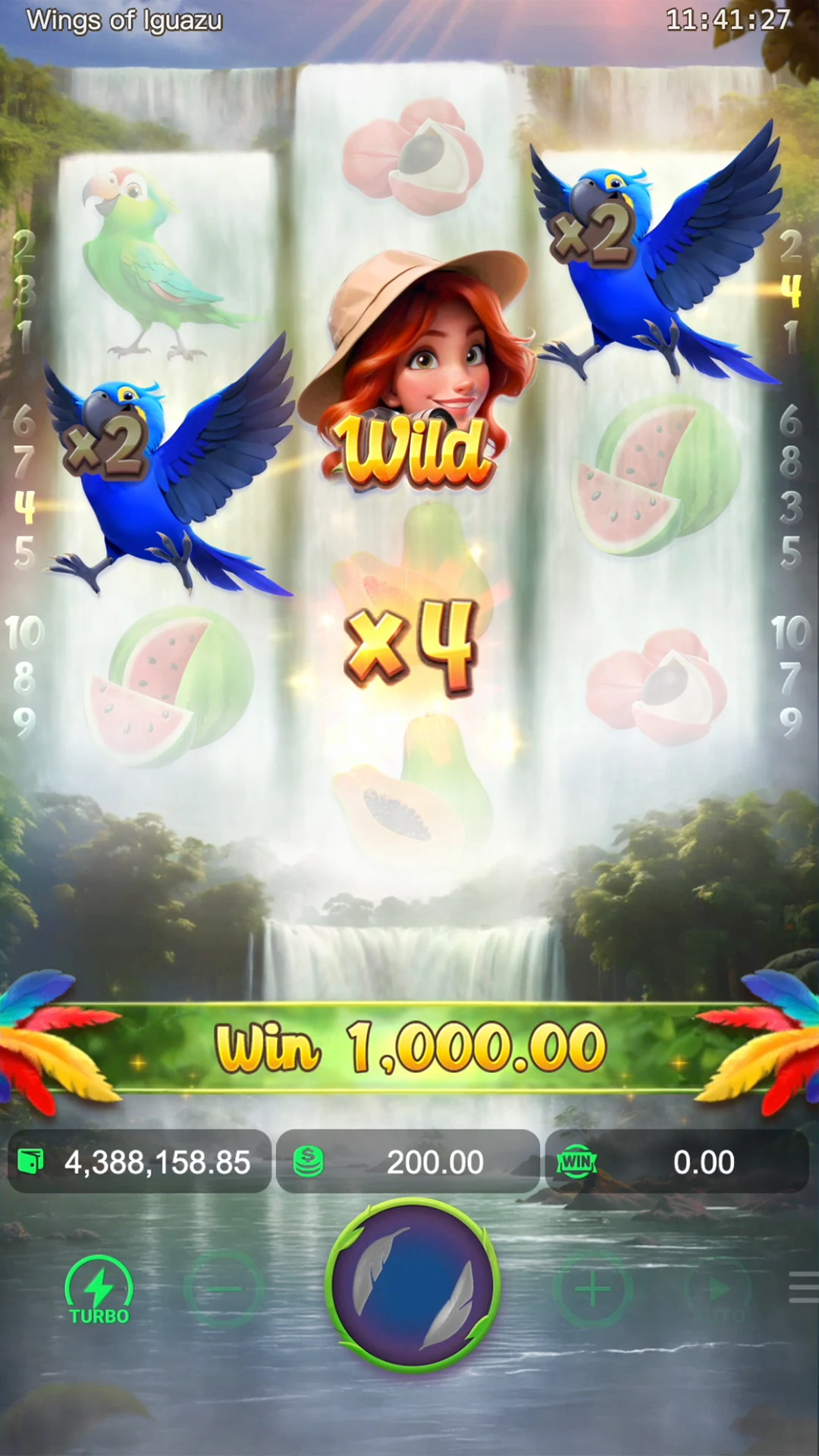 Wings of Iguazu ภาพประกอบ